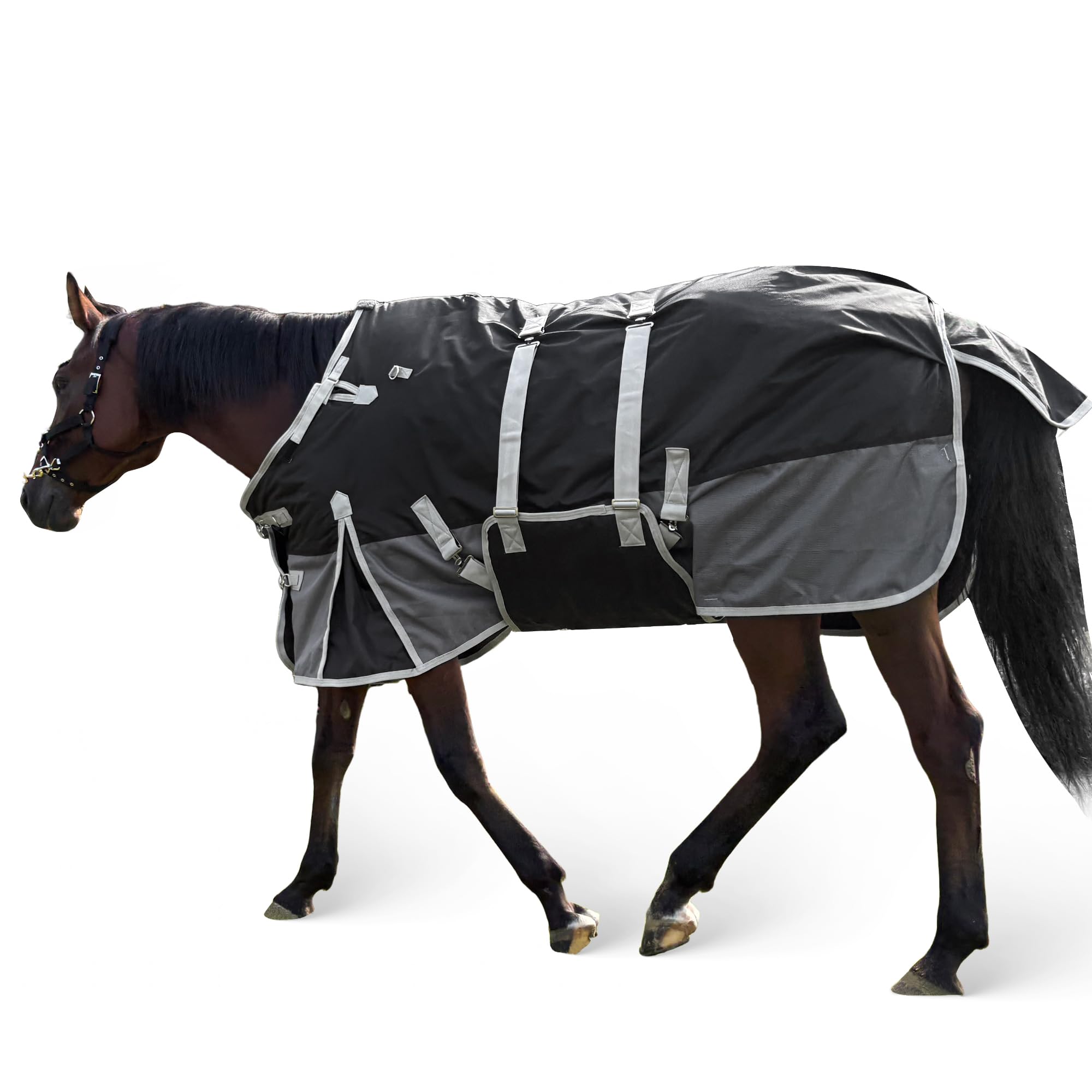 1200D Horse Blanket – Water-Resistant Turnout Blanket with Belly Wrap for Real Horses – Black-Grey – 81" – 220g Fill, medium-weight turnout rug sized 81"