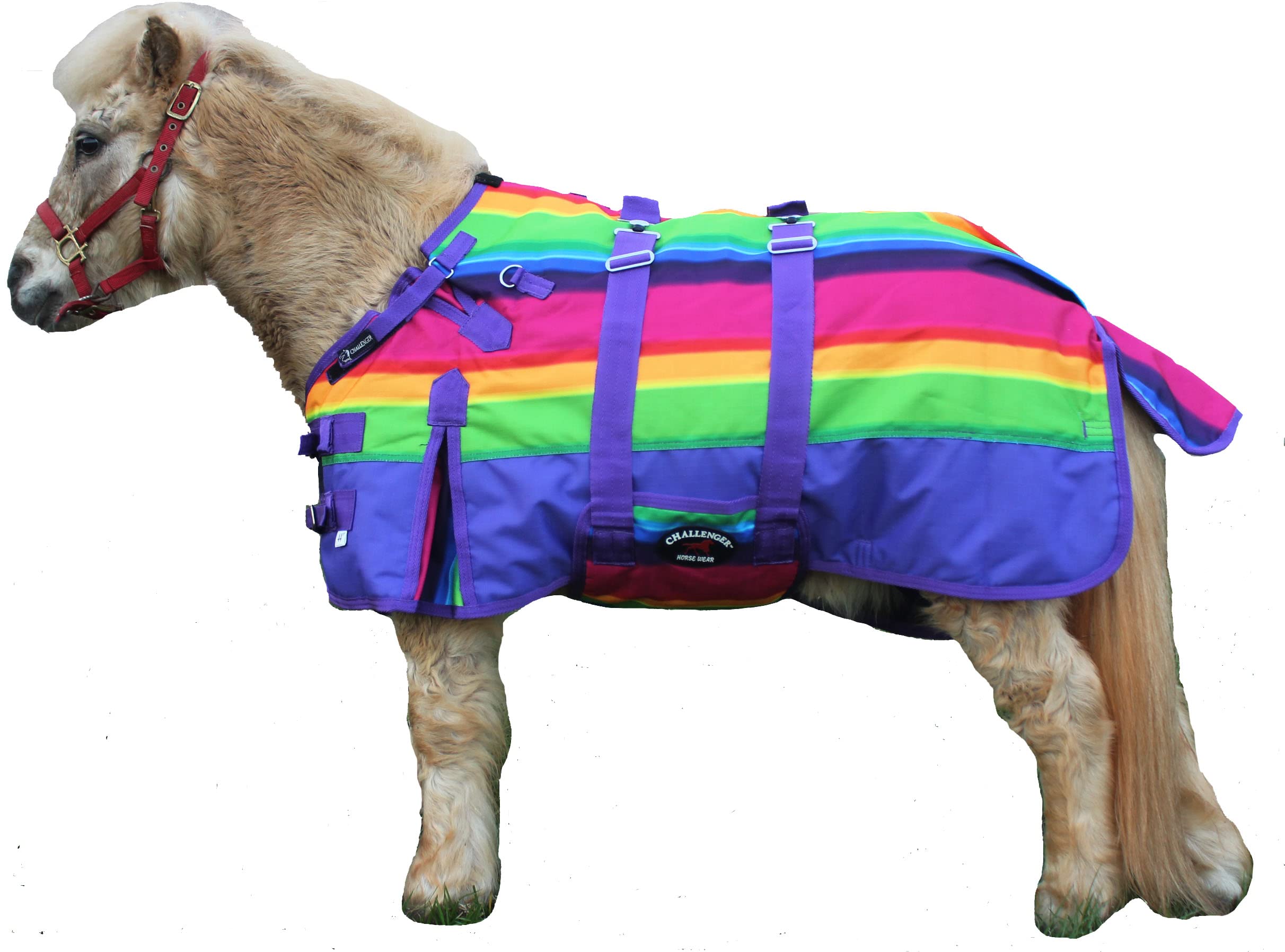 CHALLENGER 60" 1200D Miniature Weanling Donkey Pony Horse Foal Winter Blanket Rainbow 51968B, pony & foal turnout rug sized 60" (mini/foal)