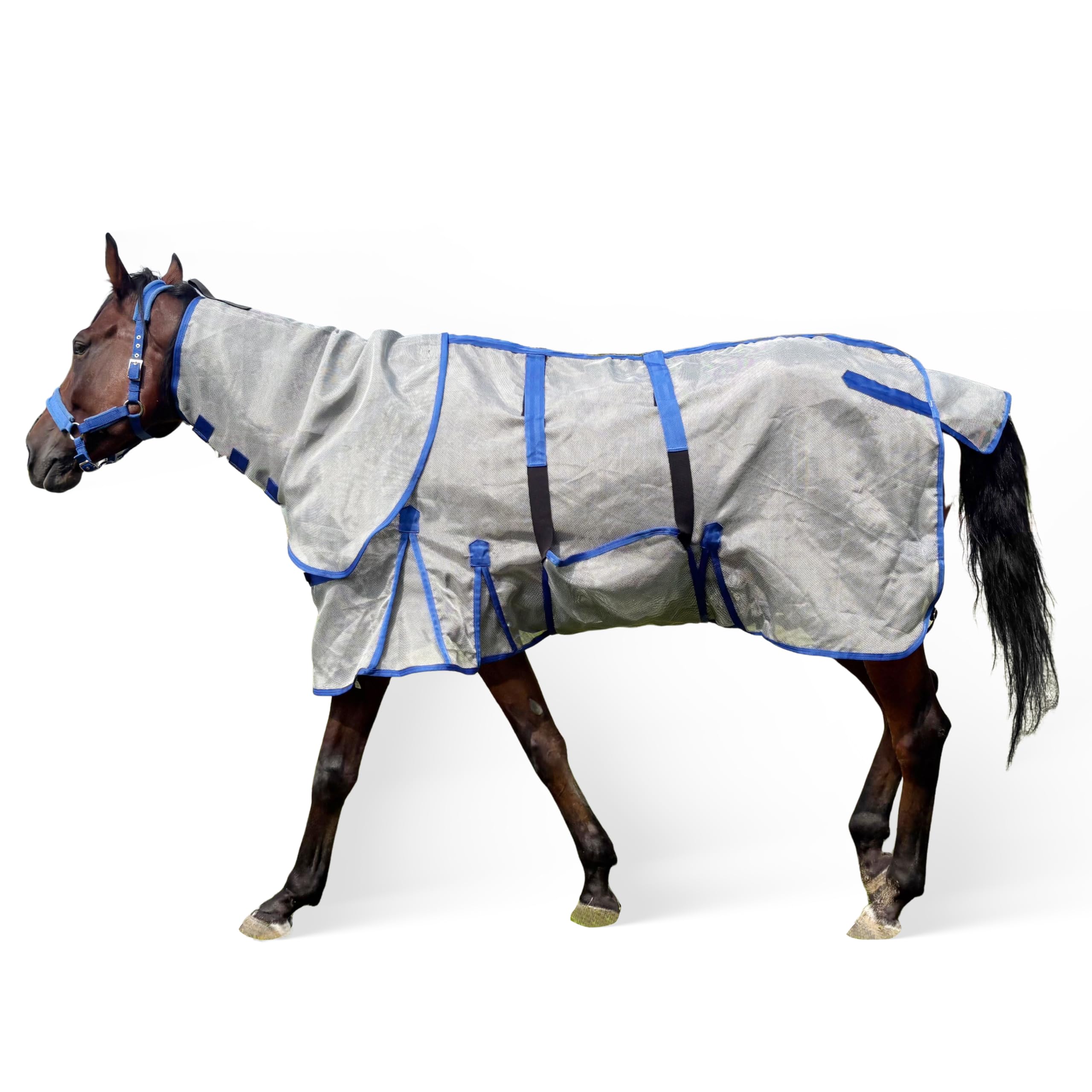 Horse Fly Sheet – UV Protection Breathable Mesh Summer Horse Rug, fly sheet sized 78"