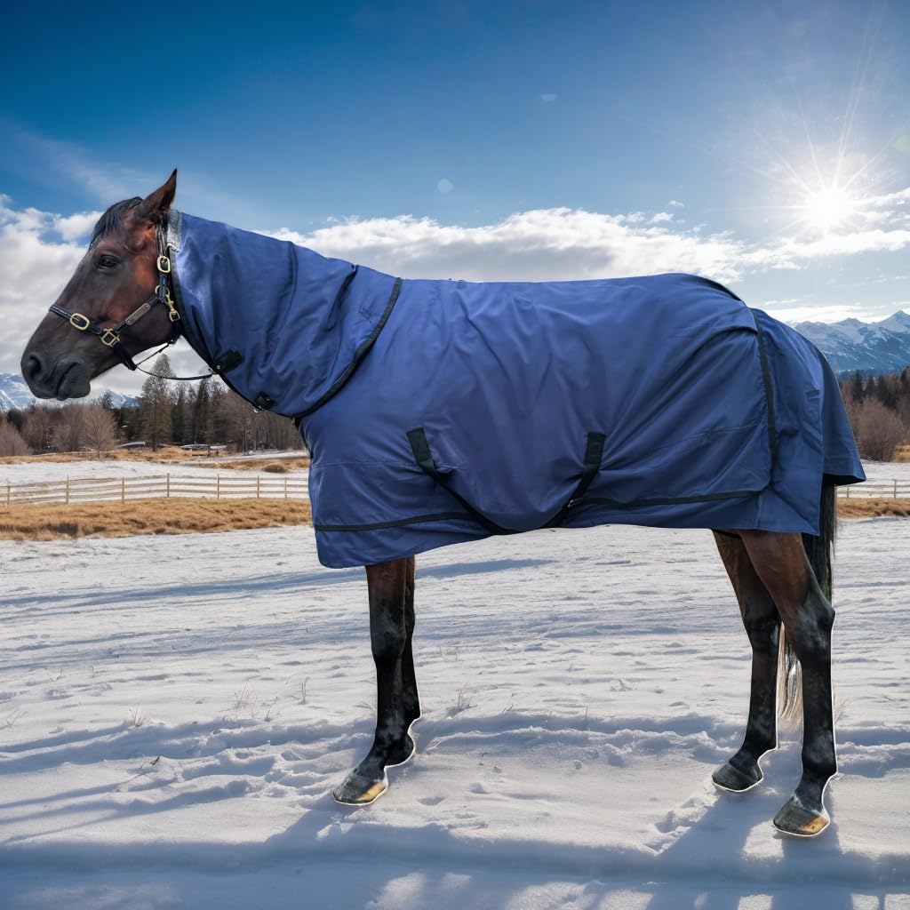 Heavy-Duty Horse Blanket, heavyweight turnout rug sized 82"