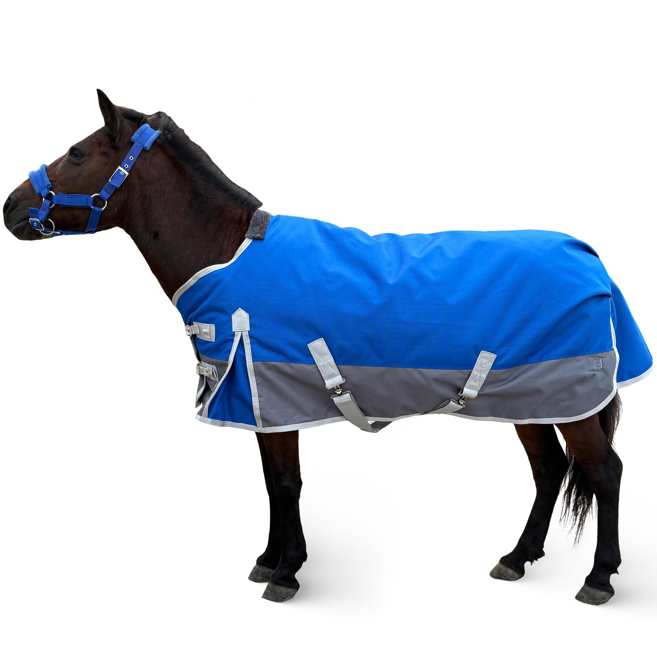 1200D Waterproof Turnout Blanket for Mini Horse & Pony, pony & foal turnout rug sized 50" (mini/pony)