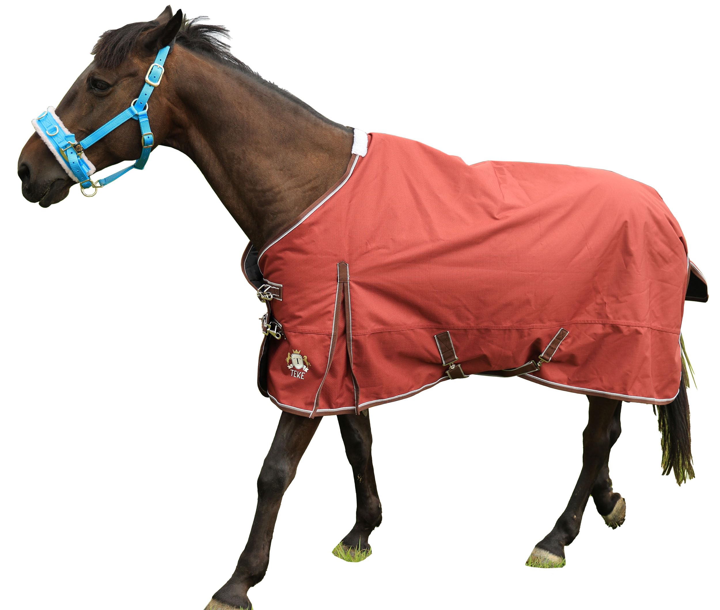 T TEKE Deluxe Turnout Horse Blankets, medium-weight turnout rug sized 51"-87" (mini to full)