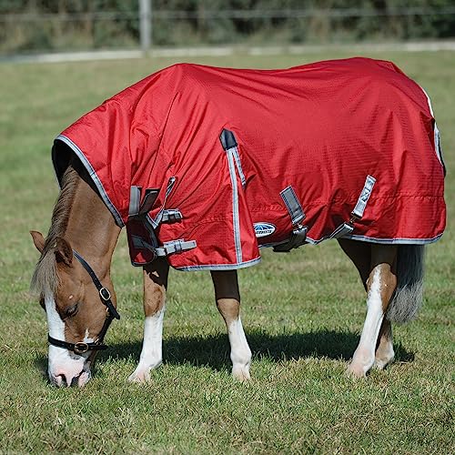 Pony wearing a WeatherBeeta ComFiTec turnout rug while grazing in a field