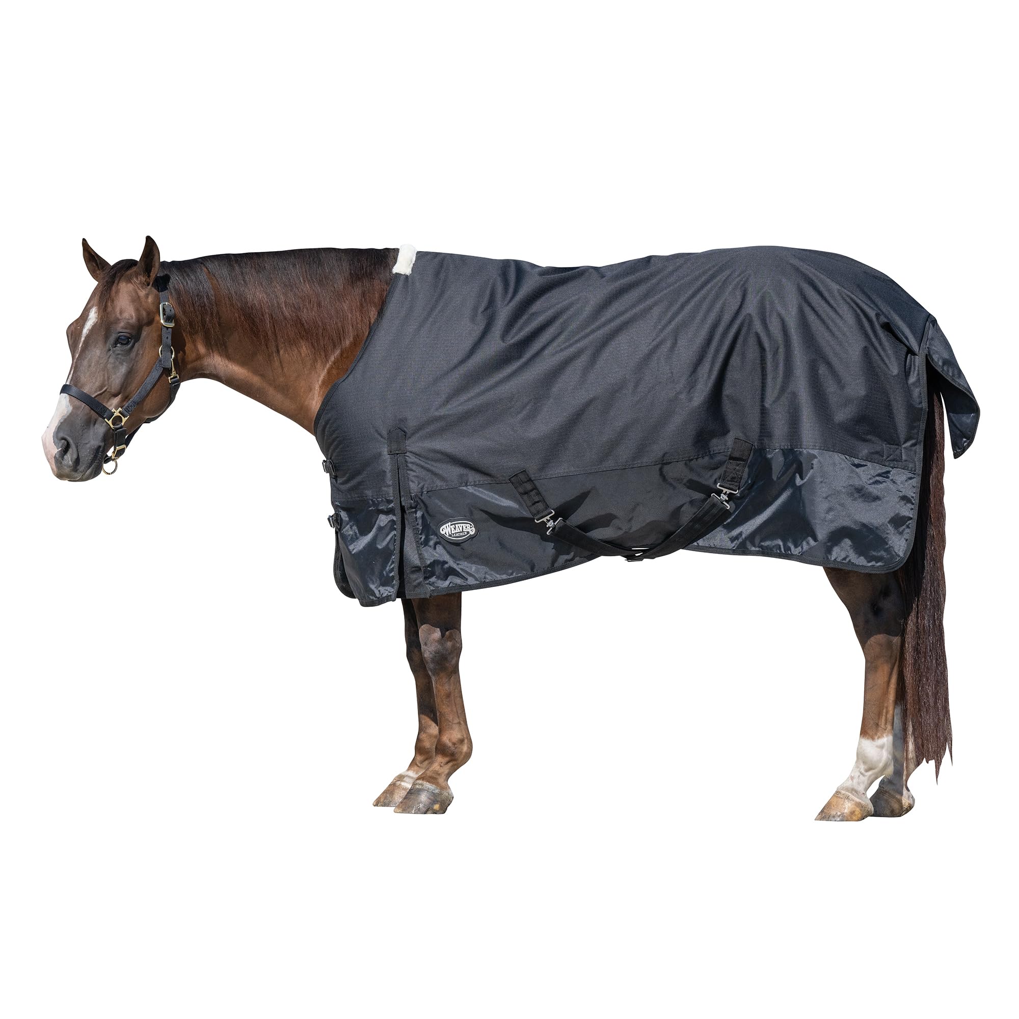 Weaver Leather Economy Turnout Horse Blanket, medium-weight turnout rug sized 75"