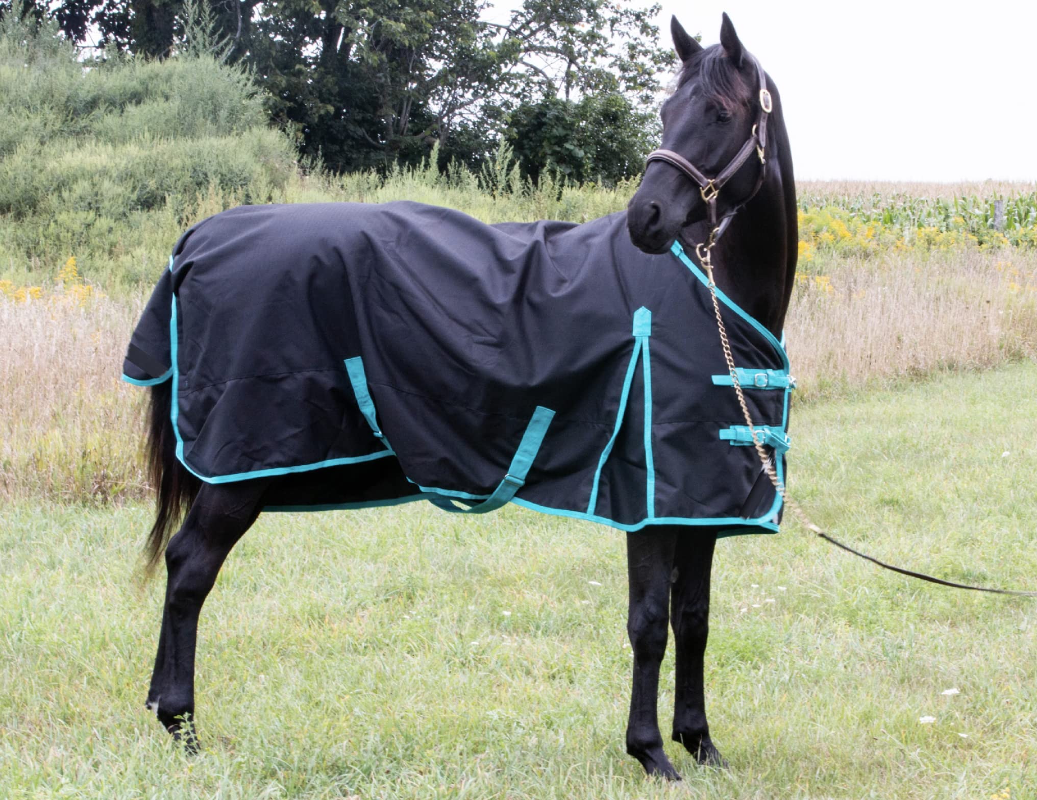 Horse Winter Blanket 300GSM 600 Denier, heavyweight turnout rug sized 82"